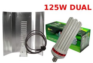 КОМПЛЕКТ CFL 125W, ЕНЕРГОЗБЕРІГАЮЧІ, ЛАМПА КЛЛ PHYTOLITE DUAL (ЗРОСТАННЯ KWITN.) ПІДСИЛЮЄТЬСЯ ВІДБИВАЧ ELEKTROX "ДЗЕРКАЛО"